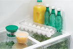 iDesign – Fridge egg holder with lid – 70042 – detail view 3